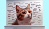 Cat Meme Guide for Gaining Feline Internet Stardom