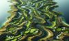 Bellville Golf Club: Your Premier Golfing Destination