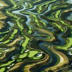 Bellville Golf Club: Your Premier Golfing Destination