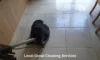 Grout Cleaners Near Longcross: Top Local Choices
