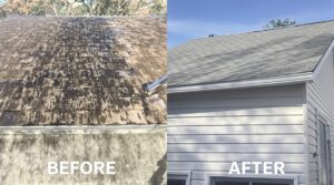 Explore Why Soft Washing is Essential for Effective Home Maintenance