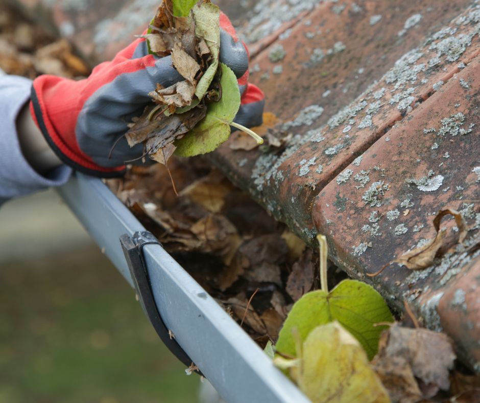 Gutters(1)